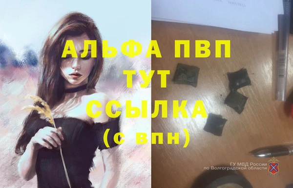 COCAINE Переславль-Залесский