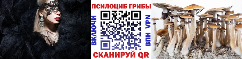 Купить где  Полевской  Галлюциногенные грибы GOLDEN TEACHER 